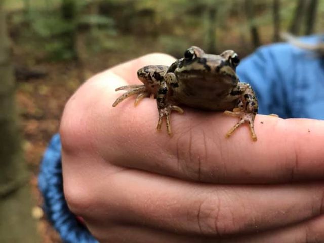 Photo of Trørødskolen