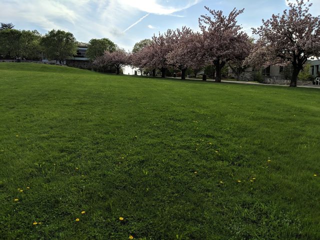 Photo of County College of Morris