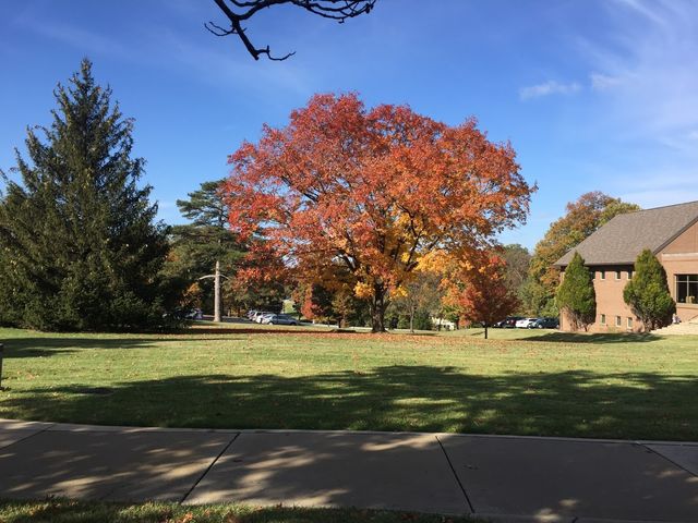 Photo of Covenant Theological Seminary