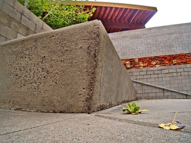 Photo of Coconino Community College