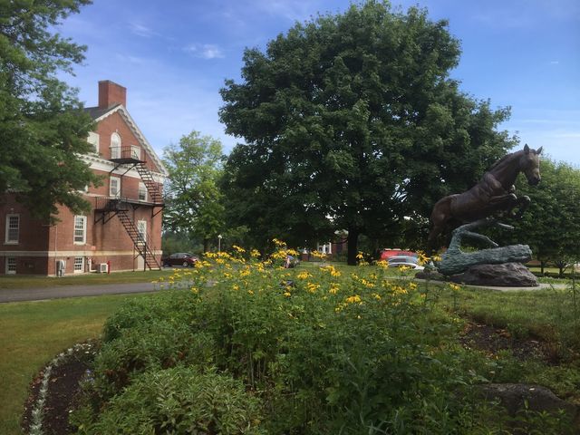 Photo of Colby-Sawyer College