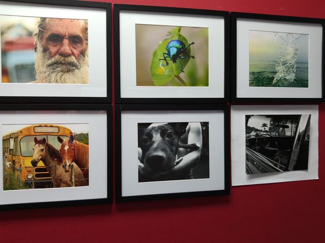 Photo of Colegio de Cinematografía Artes y Television