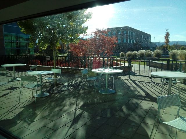 Photo of Colorado Mesa University