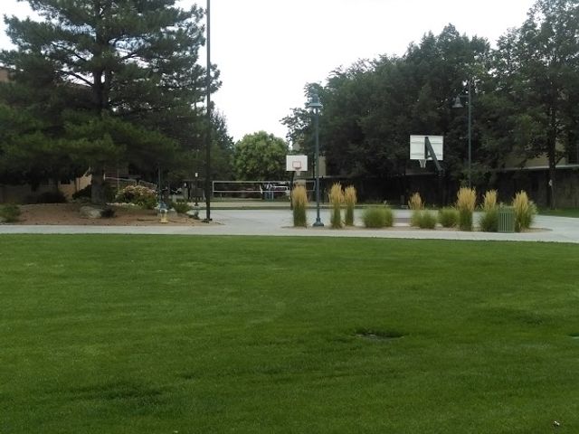 Photo of Colorado Mesa University