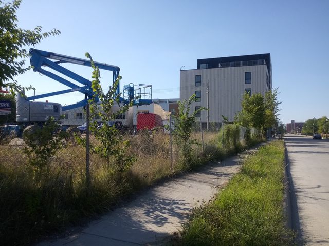 Photo of College for Creative Studies