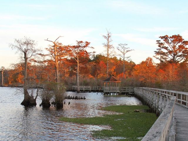 Photo of College of the Albemarle
