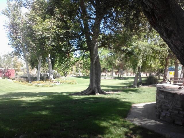 Photo of College of the Desert