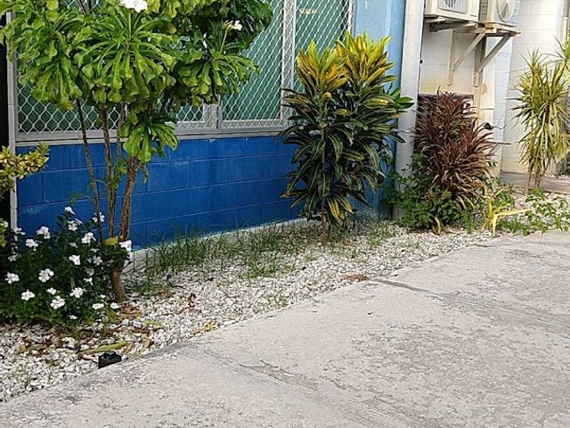 Photo of College of the Marshall Islands