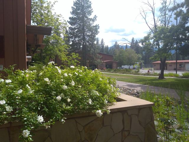 Photo of College of the Siskiyous