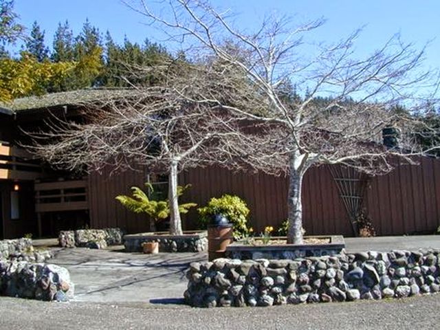 Photo of College of the Redwoods
