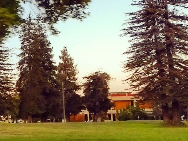 Photo of College of Alameda
