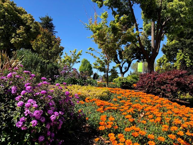 Photo of College of Alameda