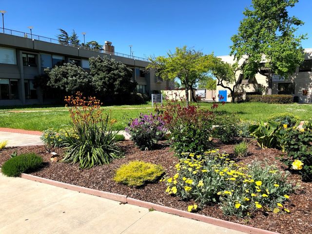 Photo of College of Alameda