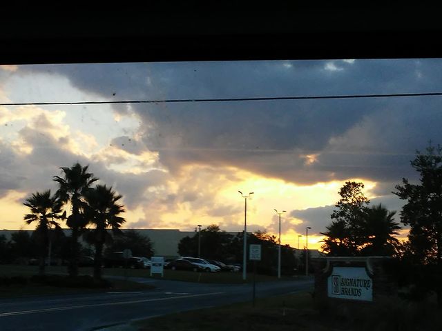 Photo of College of Central Florida