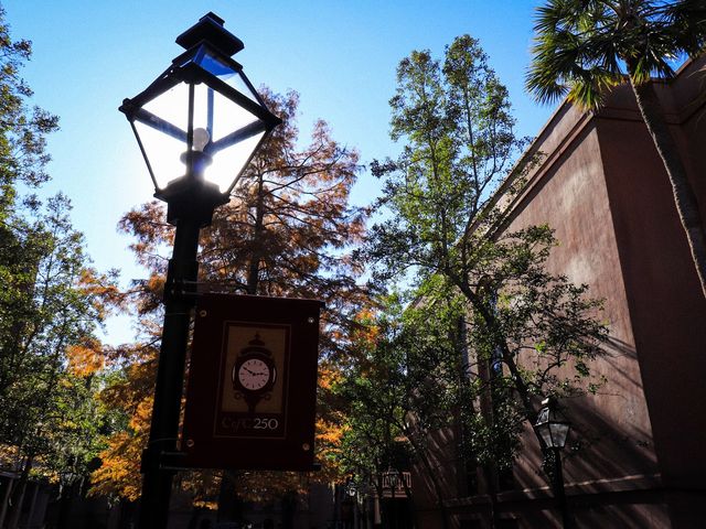 Photo of College of Charleston