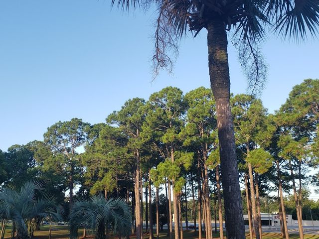 Photo of College of Coastal Georgia