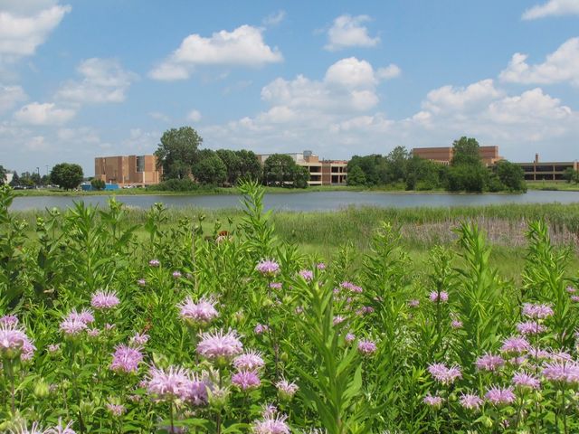Photo of College of Lake County