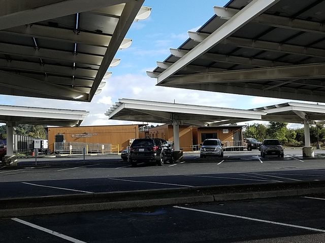 Photo of College of Marin