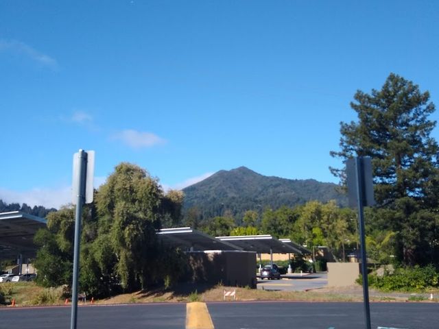 Photo of College of Marin