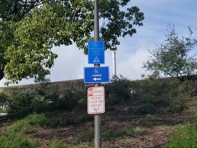 Photo of College of Marin