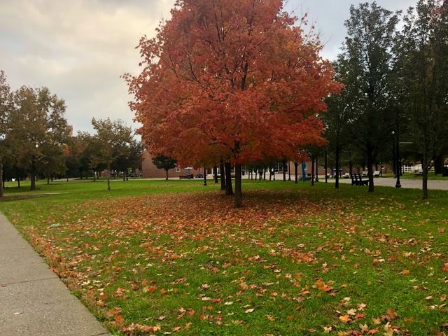 Photo of College of Staten Island CUNY