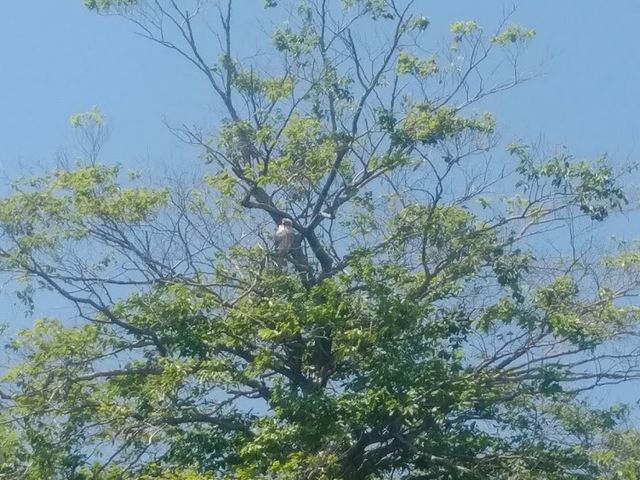 Photo of Columbia College - Hancock Field
