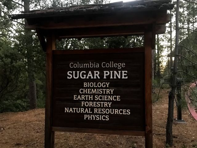 Photo of Columbia College