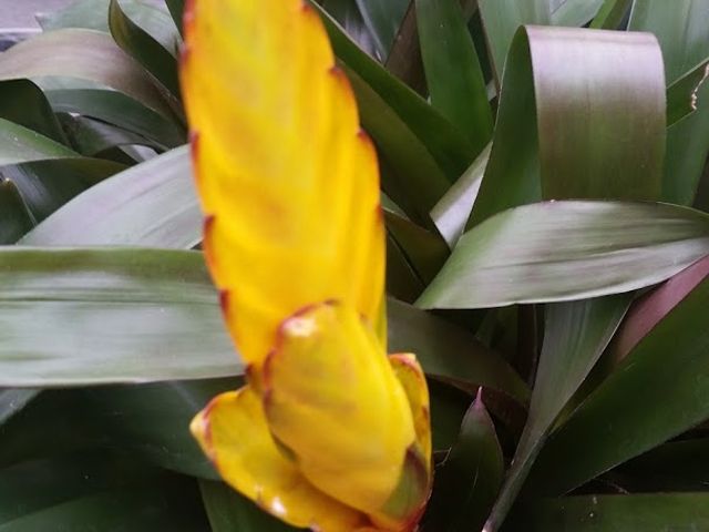 Photo of Columbia Area Career Center