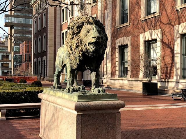 Photo of Columbia University in the City of New York