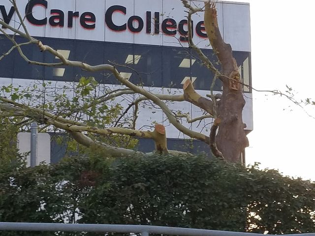 Photo of Community Care College