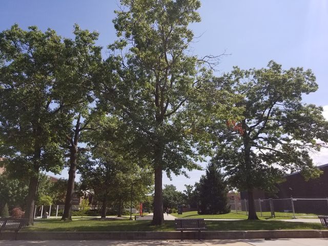 Photo of Community College of Baltimore County