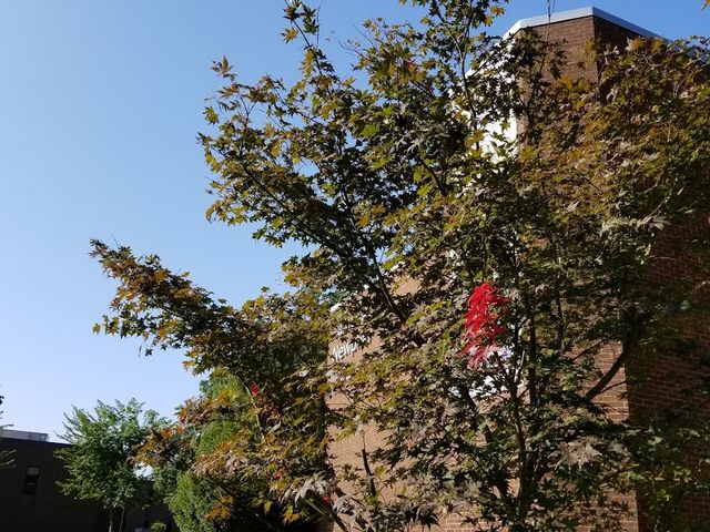 Photo of Community College of Baltimore County