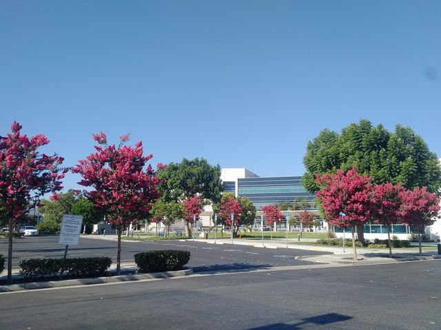 Photo of Concorde Career College-Garden Grove