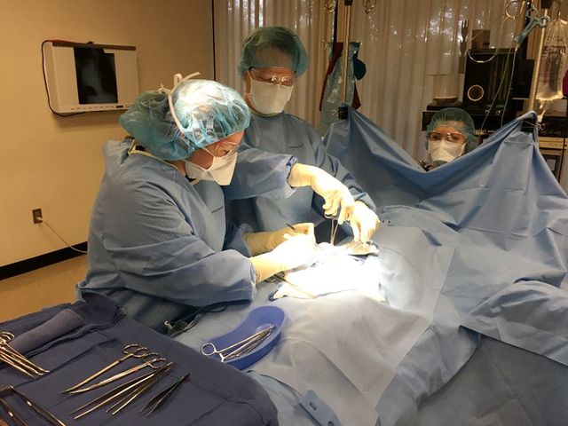 Photo of Concorde Career College-Portland