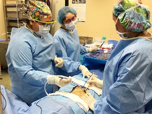 Photo of Concorde Career Institute-Orlando