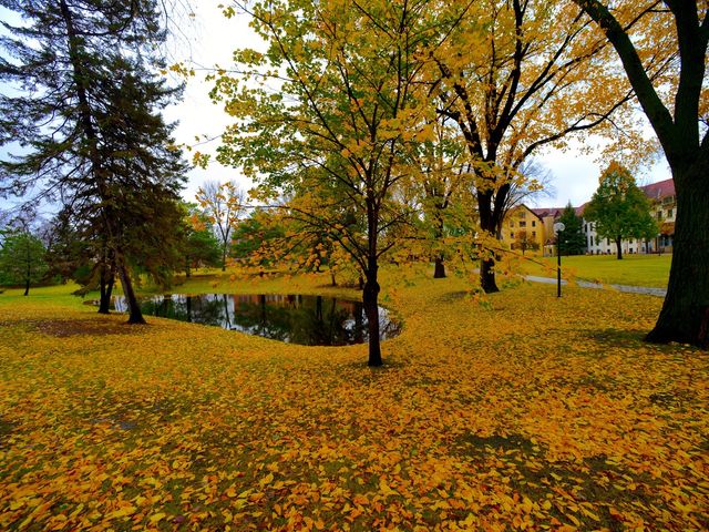 Photo of Concordia College at Moorhead