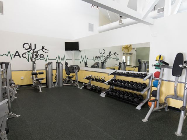 Photo of Concordia University-Irvine