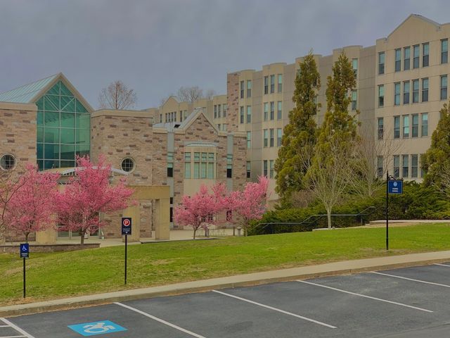 Photo of Connecticut College