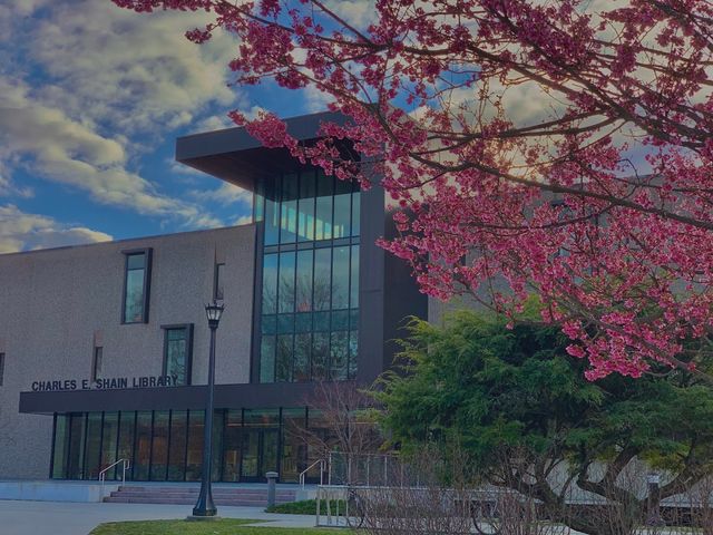 Photo of Connecticut College