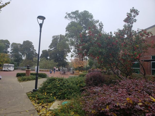 Photo of Contra Costa College