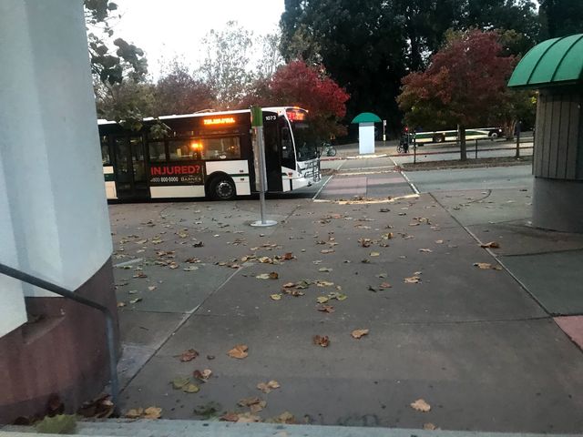 Photo of Contra Costa College