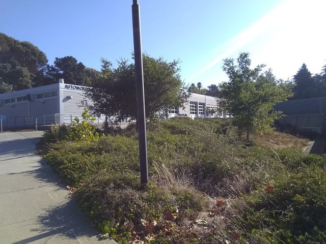 Photo of Contra Costa College