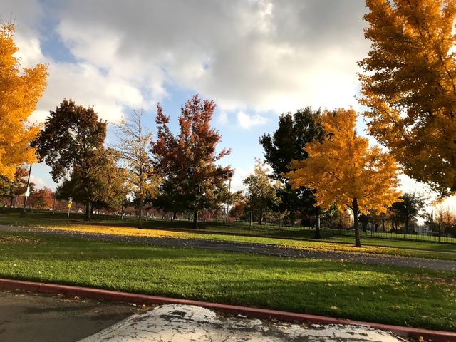 Photo of Cosumnes River College