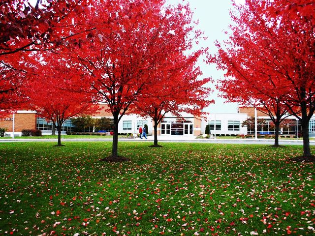 Photo of Cayuga County Community College