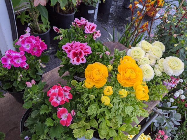 Photo of Cabrillo College