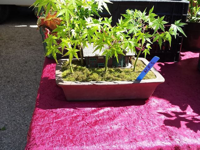 Photo of Cabrillo College