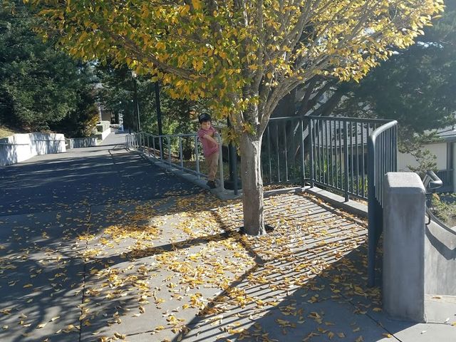 Photo of Cabrillo College