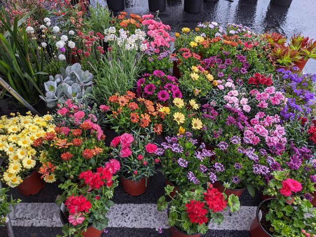 Photo of Cabrillo College