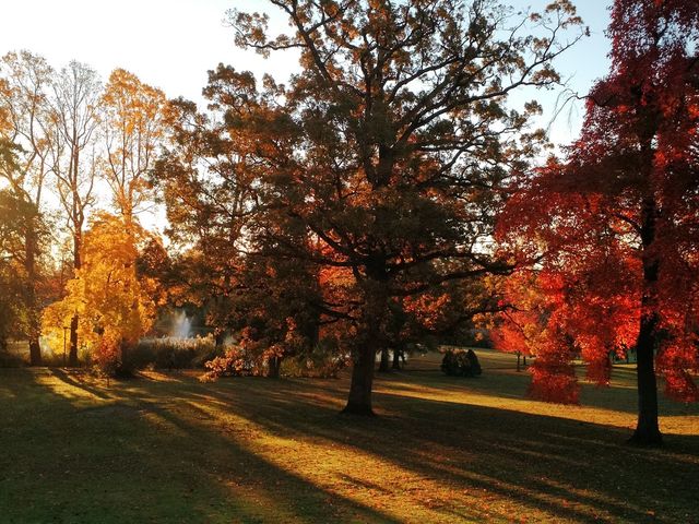 Photo of Cairn University-Langhorne