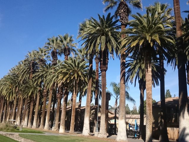 Photo of California Baptist University